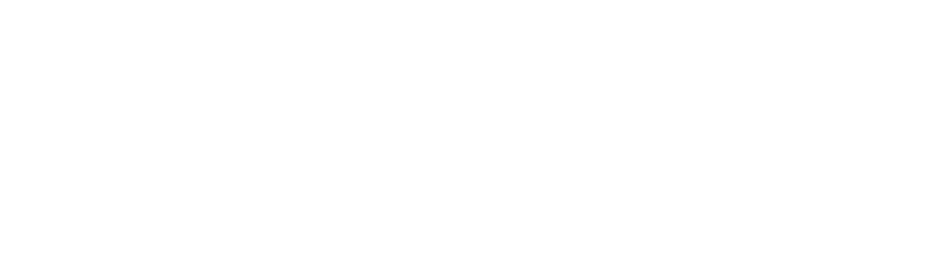Light Logo L.E.